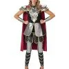 Spirit Halloween Adult Medieval Warrior Costume